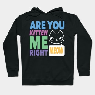 Are You Kitten Me Right MEOW Hoodie